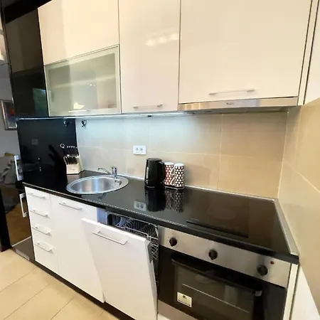Apartment Regina Vracar And Garage Belgrade